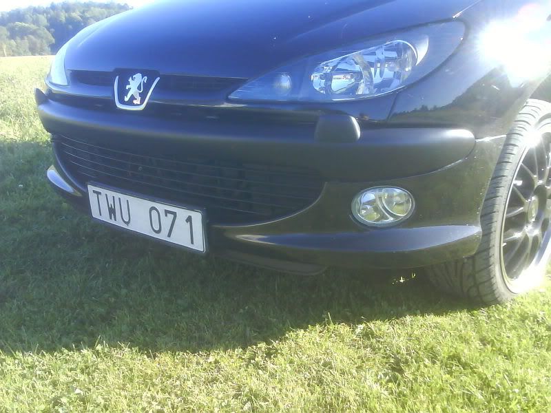 http://i7.photobucket.com/albums/y267/spraYcanE/Peugeot%20206/Exterior/Kjolpaket/DSC01175.jpg