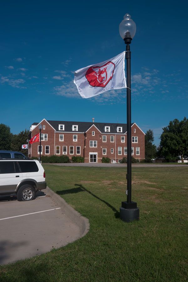 The bear mascot waving in the breeze.