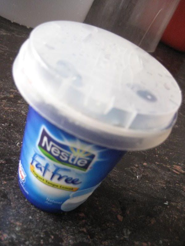 pure yoghurt