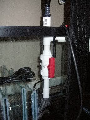 091e4751.jpg