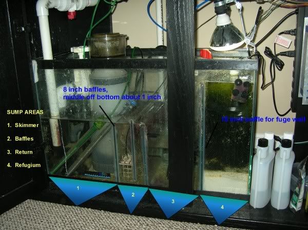 DSCN5744_labeled.jpg