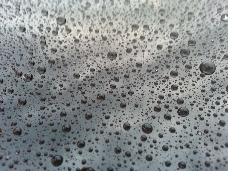 20120812_064050.jpg