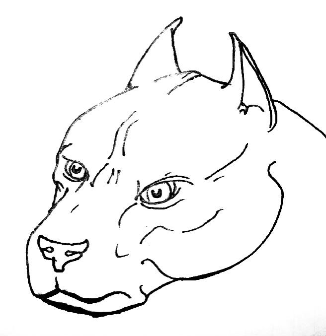 Pit Bull Cartoon