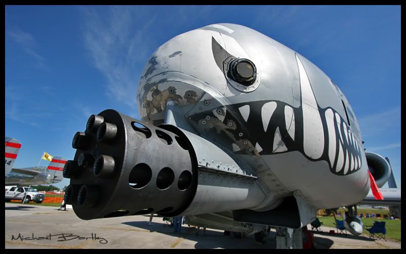 IMAGE: http://i7.photobucket.com/albums/y269/Size10LeadFoot/Air%20Show%204%2012%2008/IMG_6397a.jpg