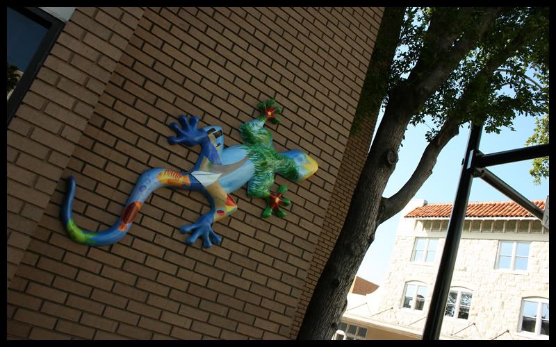 IMAGE: http://i7.photobucket.com/albums/y269/Size10LeadFoot/IMG_0168a.jpg