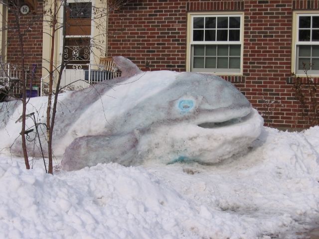 snowfish002_zpse3b7d840.jpg