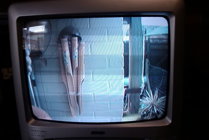IMAG0078.jpg