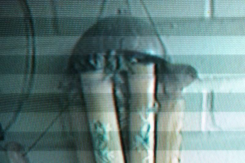 IMAG0083.jpg