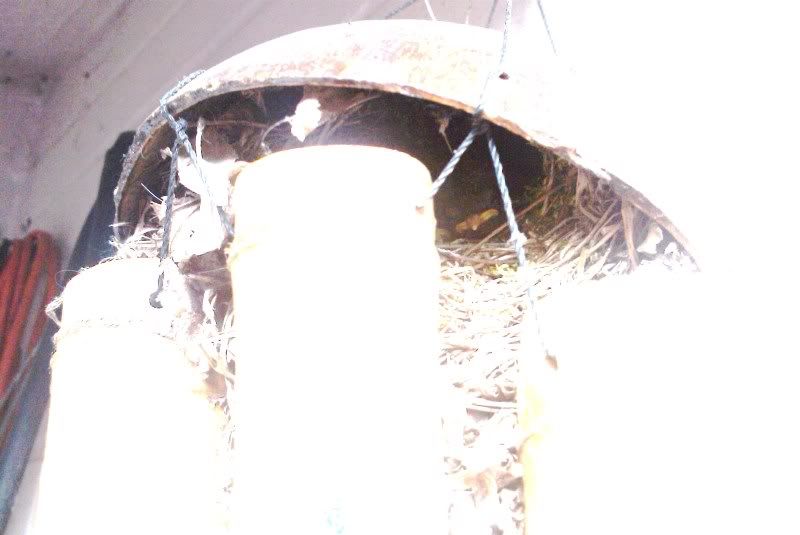IMAG0167.jpg