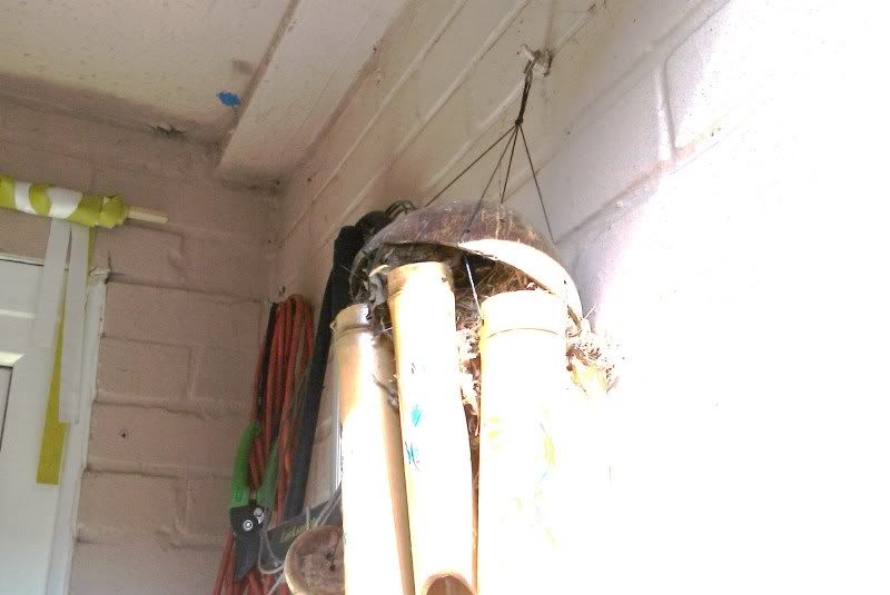 IMAG0169.jpg