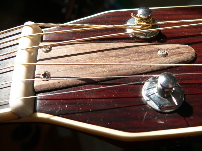 Yamaha FG350W truss rod cover Harmony Central