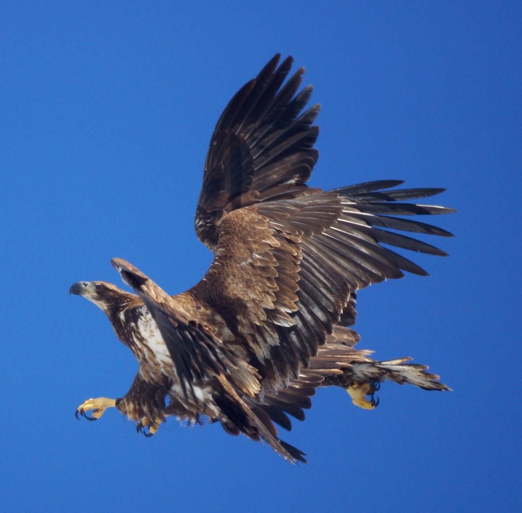 Kids just being kids! 