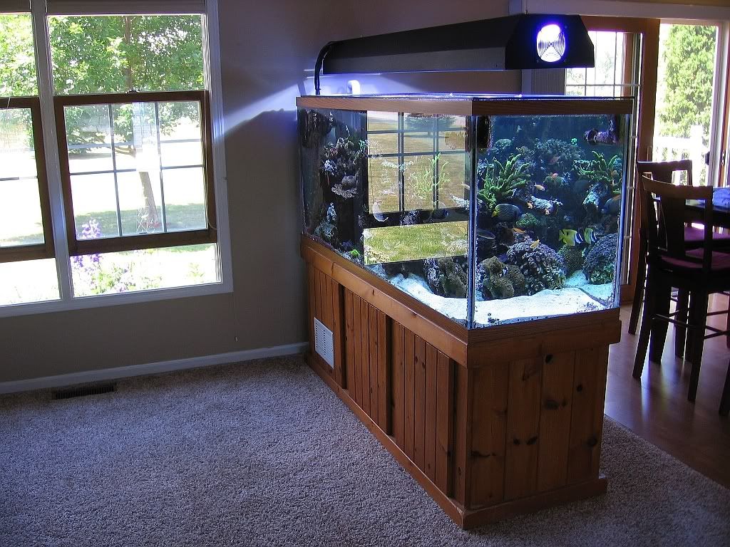 Why not natural sunlight? Reef Central Online Community