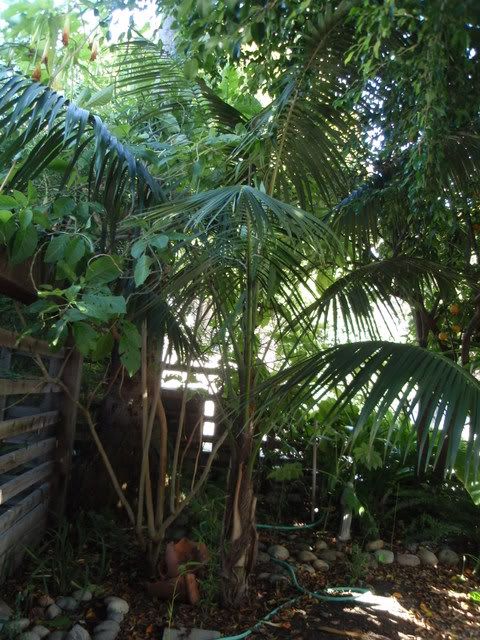 02-10-09029.jpg