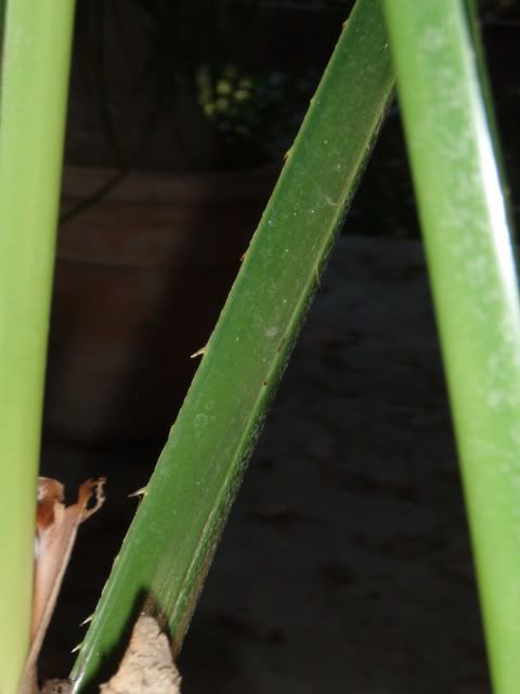 PA190009.jpg