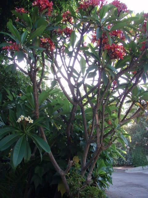 PB030003.jpg