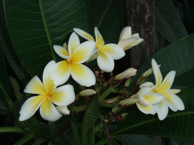 PB030046.jpg