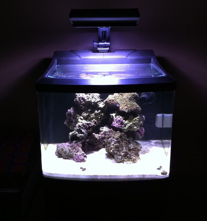 Biocube 29 Hqi