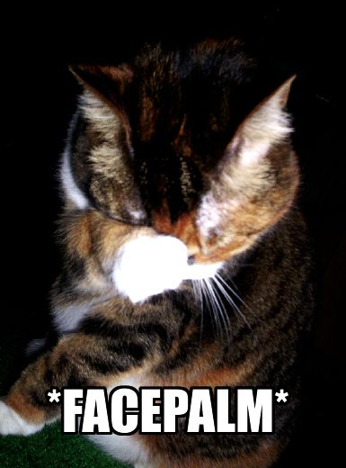 http://i7.photobucket.com/albums/y273/archangel_nazreth/Forum%20Pics/Facepalm/cat.jpg