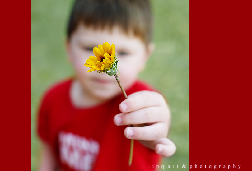 Wyatt,365,Flower