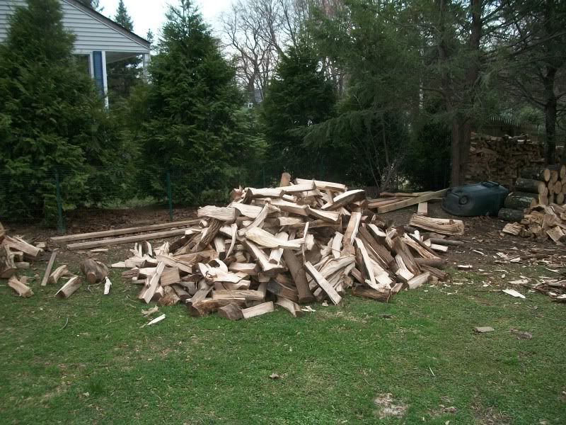 Finally Split Poplar? Pics