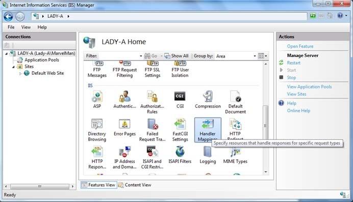 iis manager