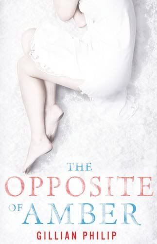 the opposite of amber by gillian philip