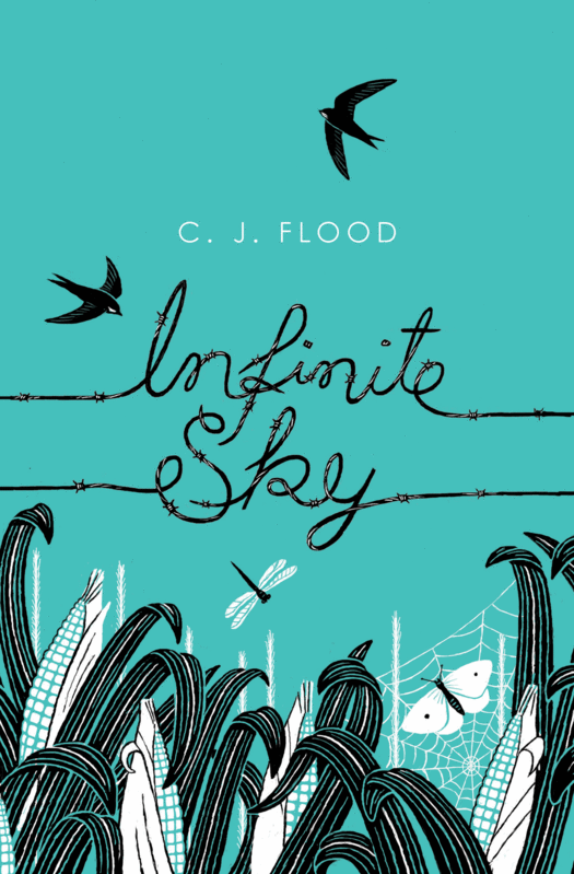 Infinite Sky by C.J. Flood