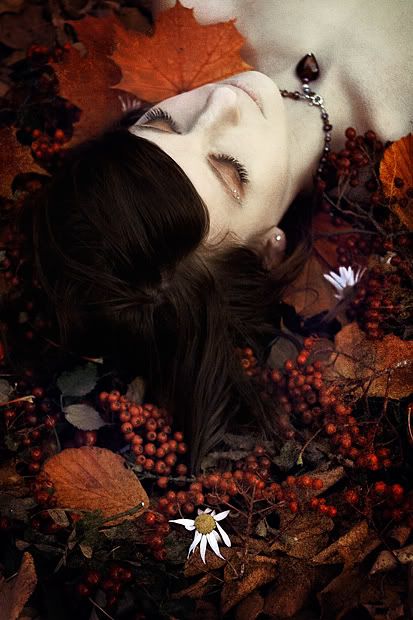 _autumn sleep II.