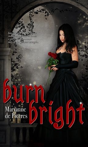 Burn Bright by Marianne de Pierres