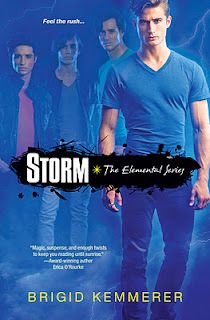 Storm by Brigid Kremmerer