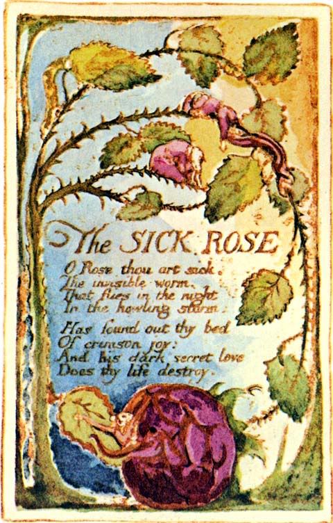 the sick rose by william blake