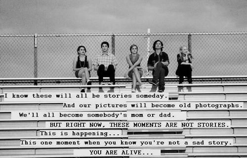 The Perks of Being a Wallflower Quote