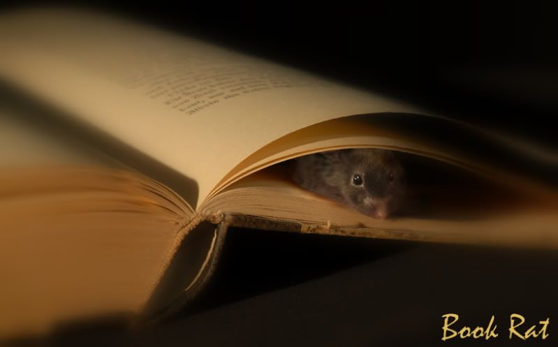 the book rat