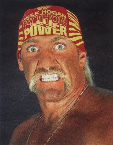 hulkamania