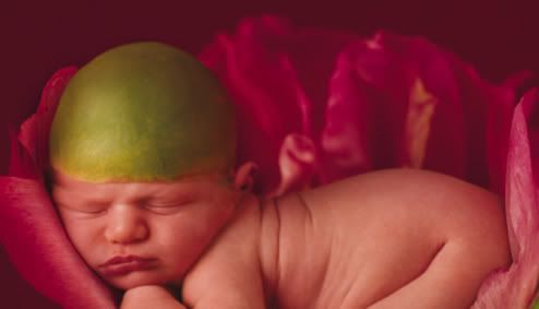 ANNE GEDDES 37