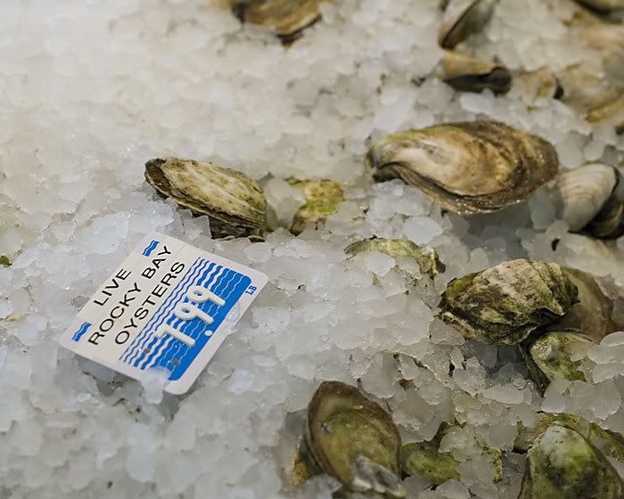 [Image: 25159-liveoysters.jpg]