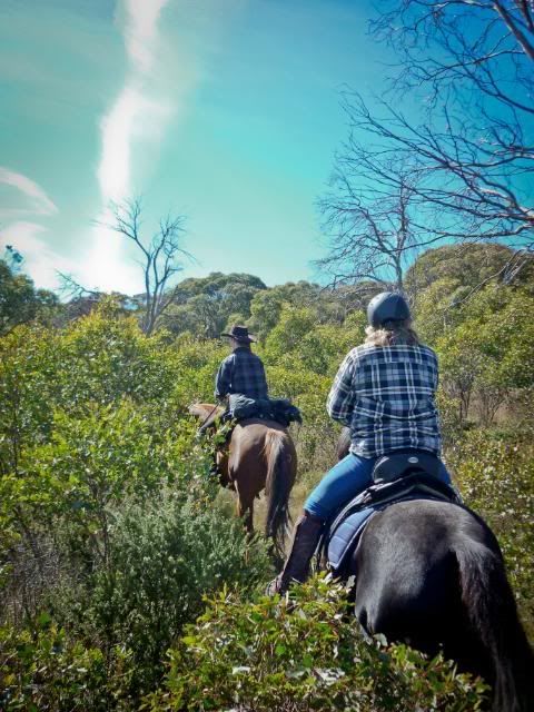 Fiona-from-rear-on-Darcie-at-Snowies.jpg