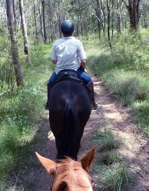 Fiona-on-Darcie-at-Scheyville-from-behind-Cin-photo_edited.jpg