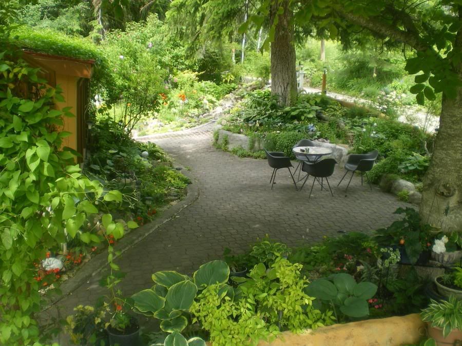 Raised beds around trees?