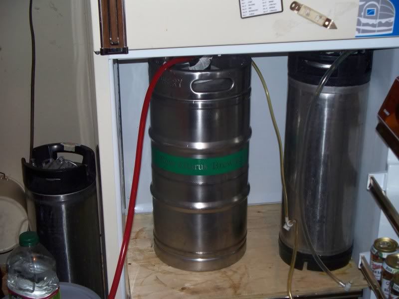 Kegged Beer at Home? Pics and Discussion... Adventure Rider