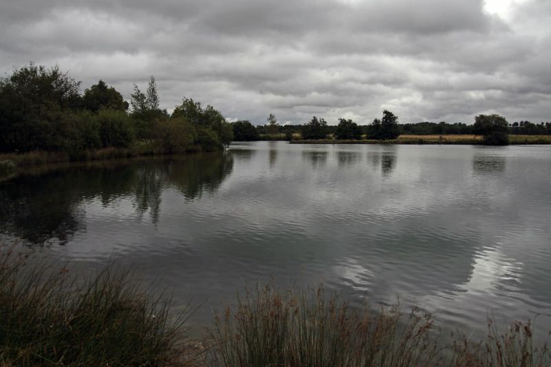 Fishing off the North bank