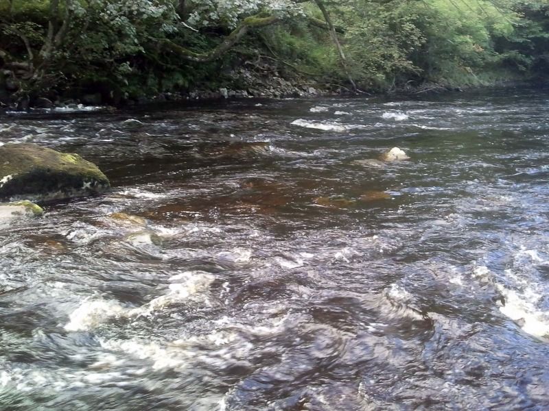 Peaty