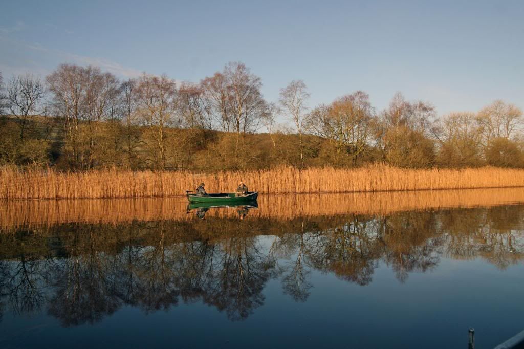 Pikeless reeds