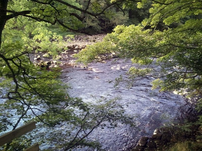 River Swale