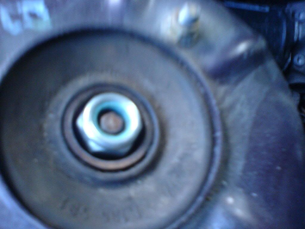 DSC01584.jpg