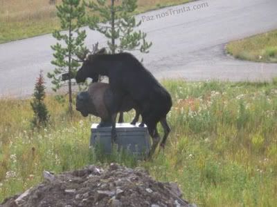 Photo Sharing and Video Hosting at Photobucket