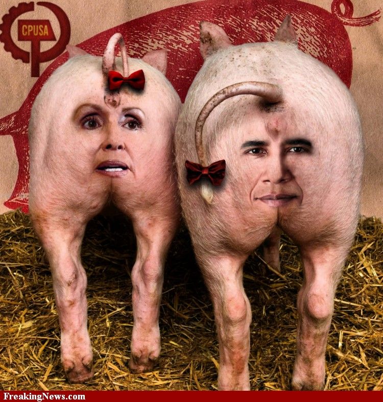 http://i7.photobucket.com/albums/y277/normulator/Obama%20Poster/Nancy-Pelosi-and-Barack-Obama-Pig-B.jpg