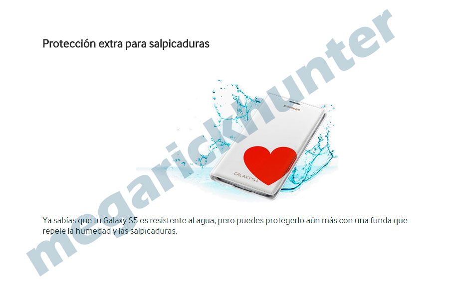 photo 4.jpg