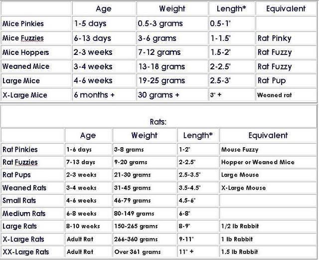 Snake Food Chart Reptile Forums